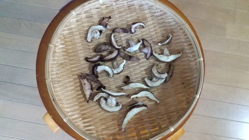 一日干したしいたけ
