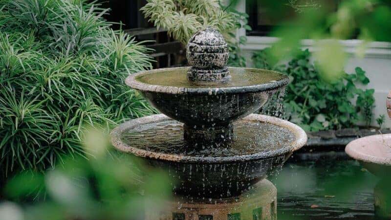 Create a Relaxing Garden for the Family With These Tips