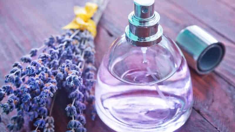 Finding the Right Fragrance for Your Skin Type