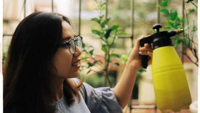 How To Keep Your Plants And Trees Happy And Healthy