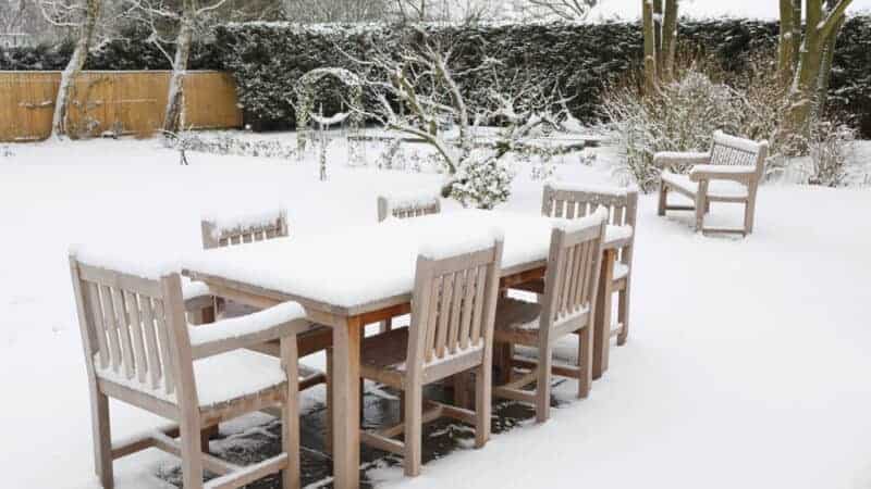 The 3 Best Backyard Activities In The Winter