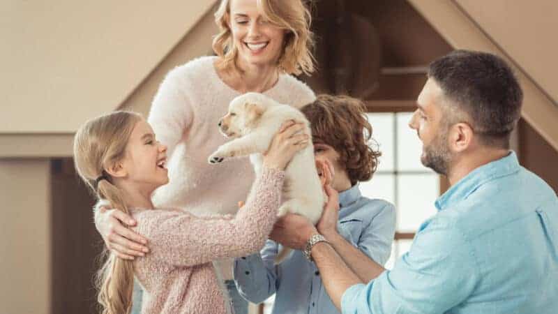 Fill Your Home With Life & Love