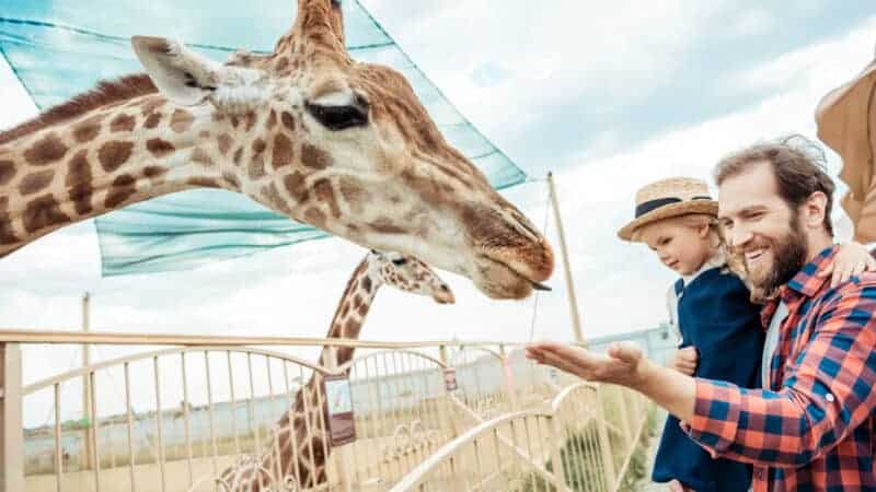 The Best Animal Experiences in the UK