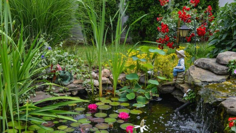 How to Turn a Dull Garden into Something Magnificent