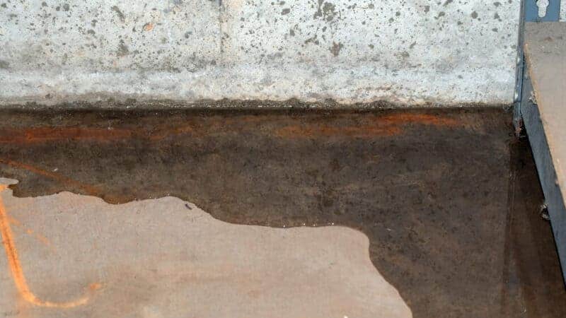 Sealing the Future: Exploring the World of Basement Waterproofing