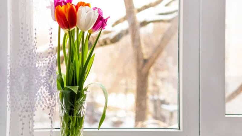 5 Essential Home Renovation Projects for Increasing Energy Efficiency