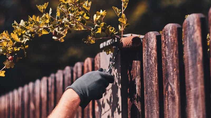 The Right Lumber For Different Outdoor Projects