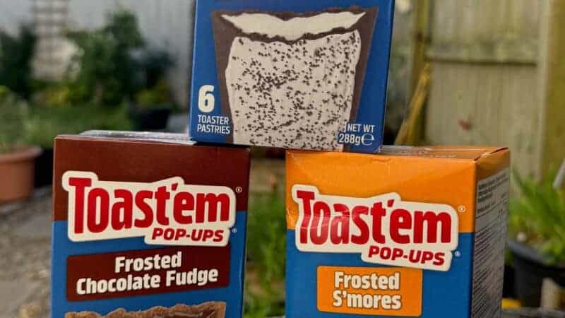 A Family Review of Toast’em Pop-Ups