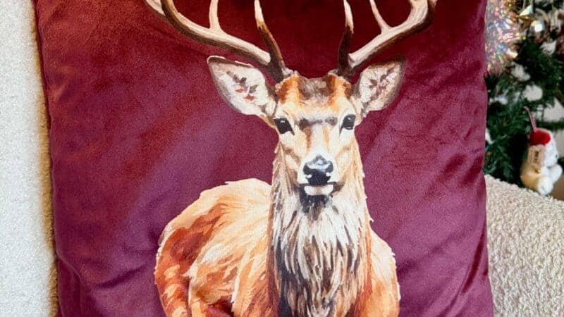 The Enchanting Christmas Collection from Cotton Traders