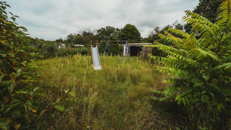 How to Reclaim Your Garden this Summer