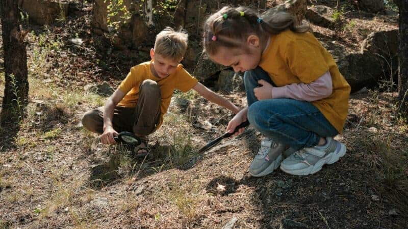 6 Fun Outdoor Family Hobbies to Try This Summer