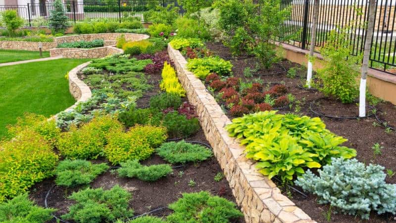 5 Tips to Plan a Budget-Friendly Project With Trusted Landscaping Professionals