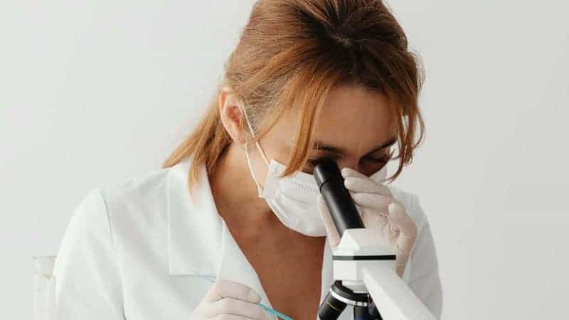 4 Best USA-Made Research Peptide Suppliers Compared