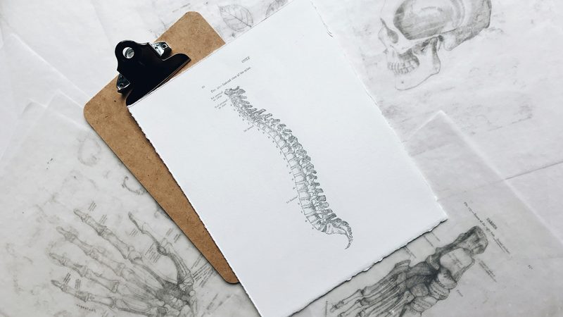 Chiropractic Care: Conditions Treated, Expected Results, and Finding a Chiropractor
