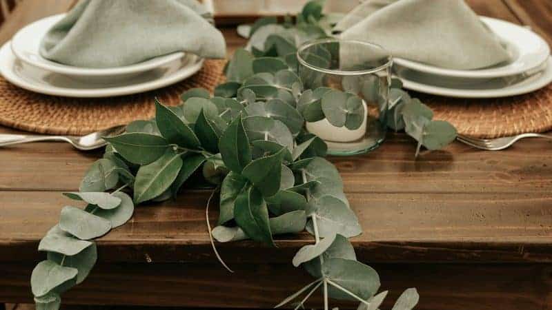 Planning Special Occasion Meals for Big Crowds Without the Stress