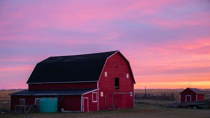 Prairie-Proof Your Garage: Choosing a Door Built for Midwest Weather