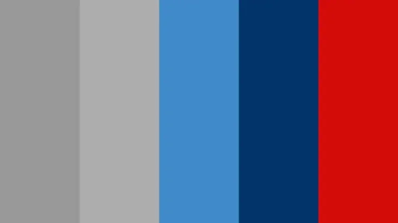 A palette of 5 professional colors, including dark grey, light grey, light blue, dark blue, and burgundy.