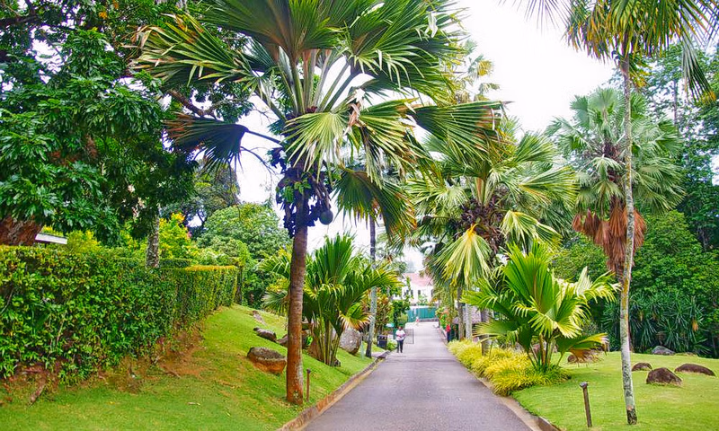 seychellesnationalbotanicalgardens