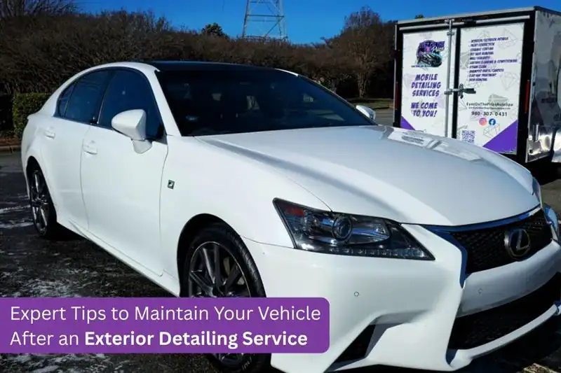 Expert Tips to Maintain Your Vehicle After an Exterior Detailing Service