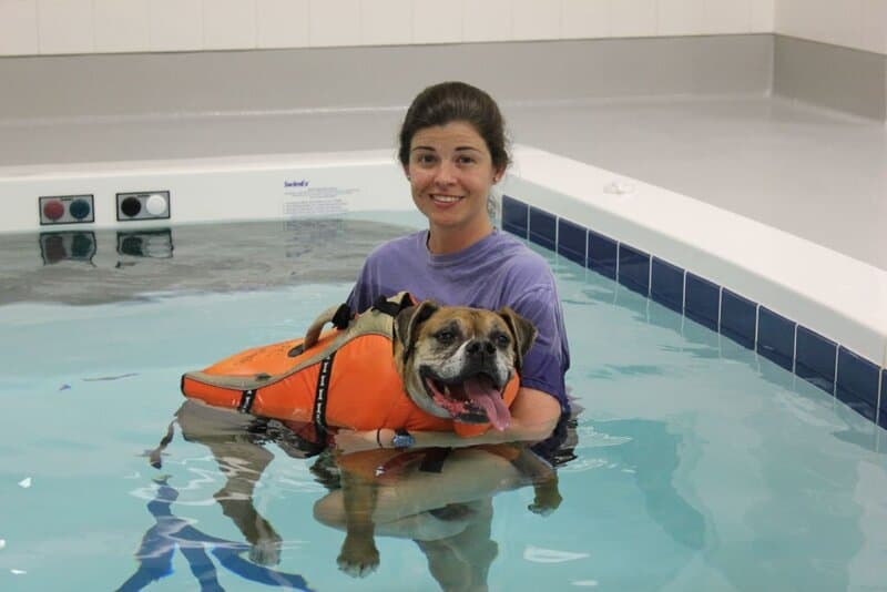 veterinary hydrotherapy