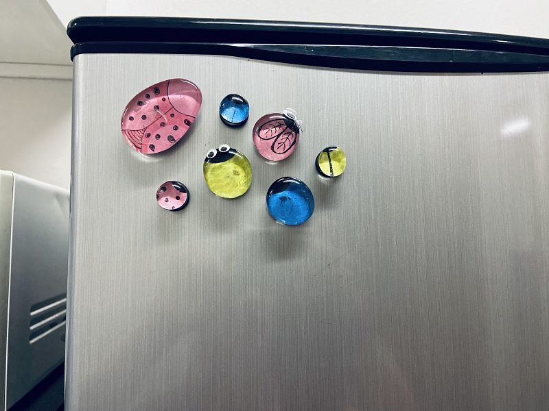 Step7 Bug Magnet Craft_opt