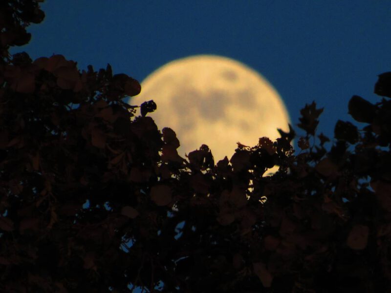 Gewaarzijn foto blog