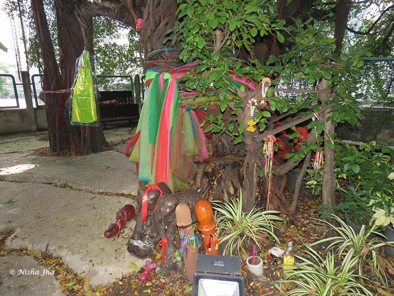 Phallic Shrine in Bangkok