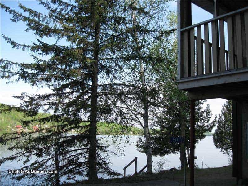 vue sur le lac, bord de l'eau