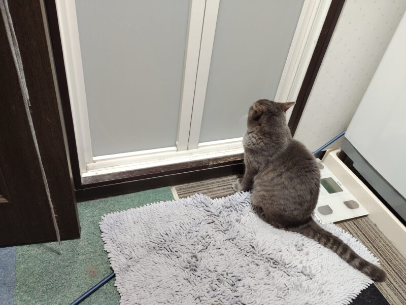 お風呂の前で待つカイト