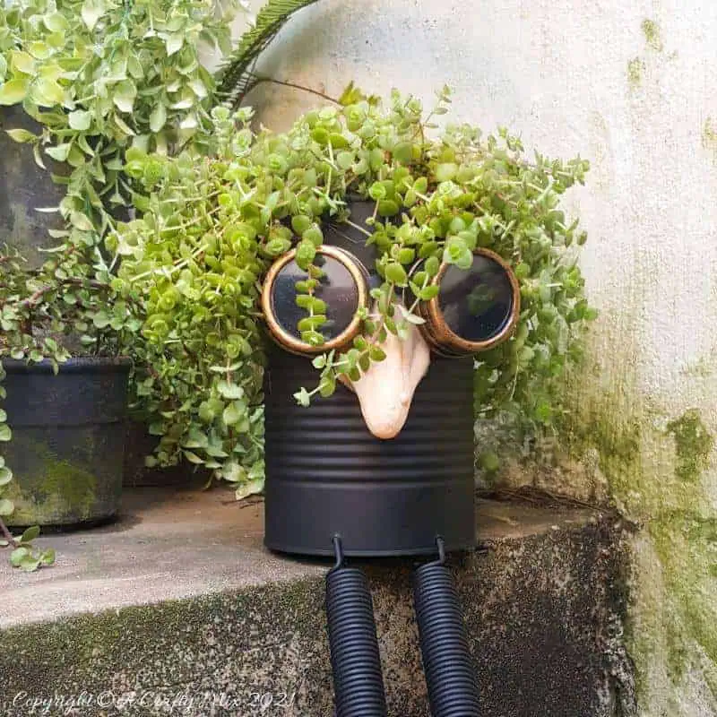 Looking for a creative way to repurpose a tin can? The you'll love this steampunk tin can planter. We call him Dr Edinose and he's sure to add a little whimsy to your outdoor decor. #steampunkplanter #ACraftyMix #TinCanRecycle