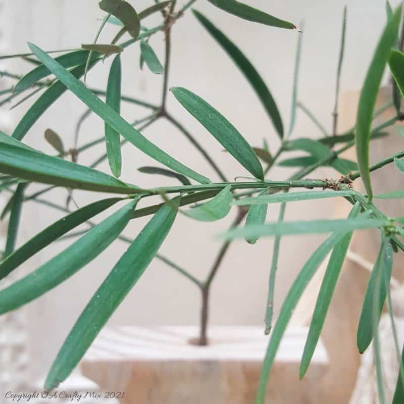 Place long lasting branches or greenery inside the vase