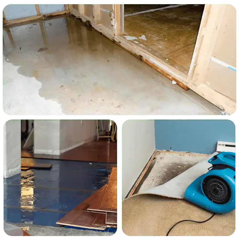 Water damage restoration and structural drying services in Los Angeles