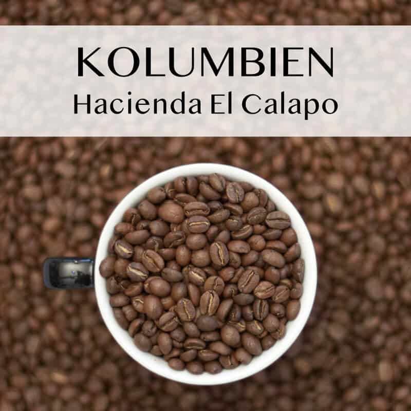 KOLUMBIEN |  El Calapo