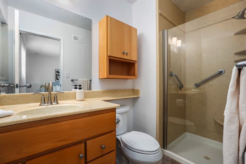 Bathroom featuring a light wood vanity, a wall-mounted medicine cabinet, and a glass-enclosed shower with safety grab bars at 5237 Diane Ave in Clairemont.