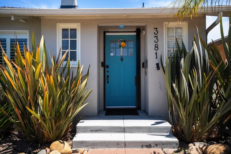 Front entry with concrete steps, house numbers 3381, a bright blue door, and surrounding ornamental grasses at 3381 Bancroft St in North Park.