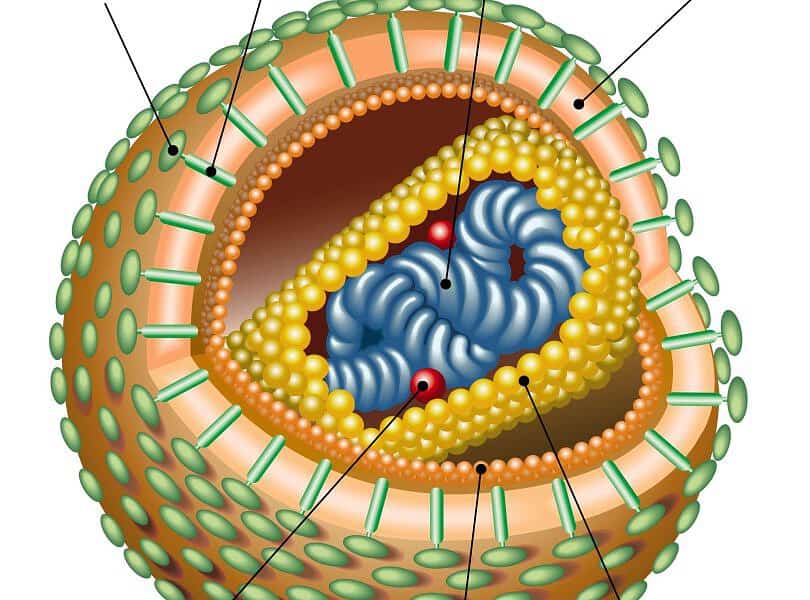 Reconhecendo a Síndrome Aguda do HIV.