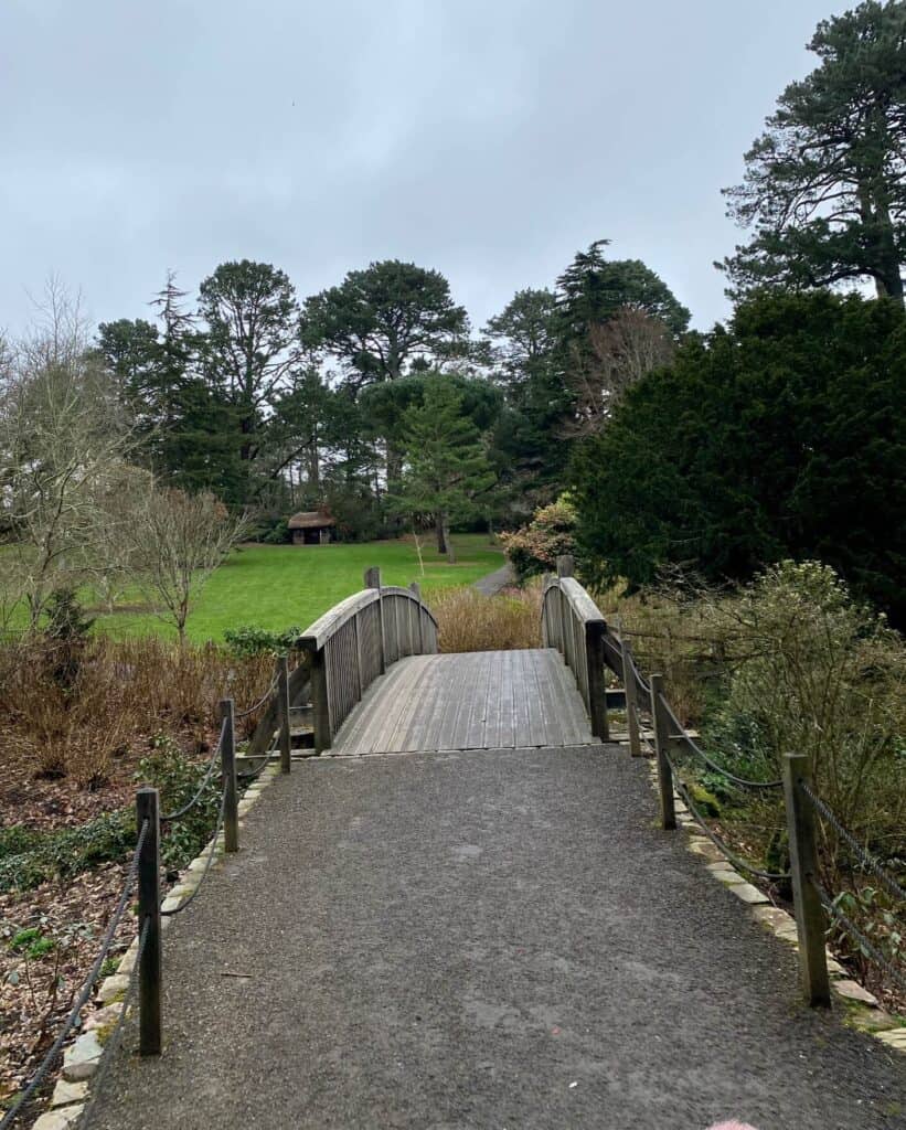 Bridge over the road at Trelissick Garden