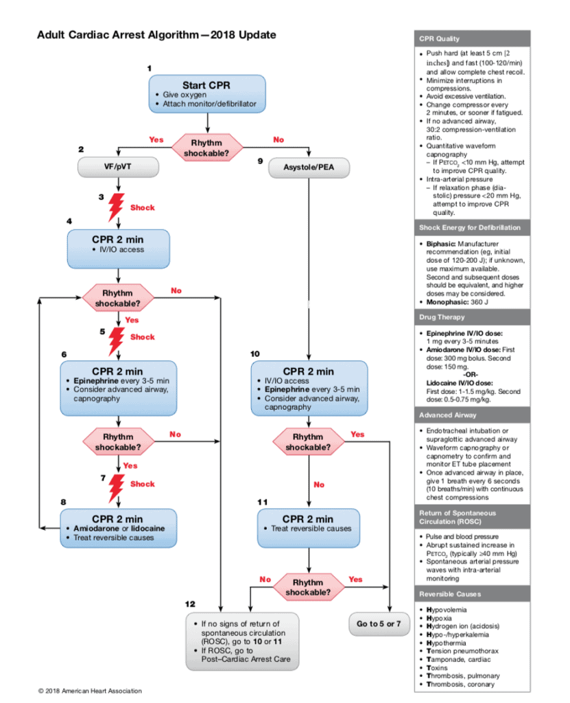 Algoritma ACLS 2018