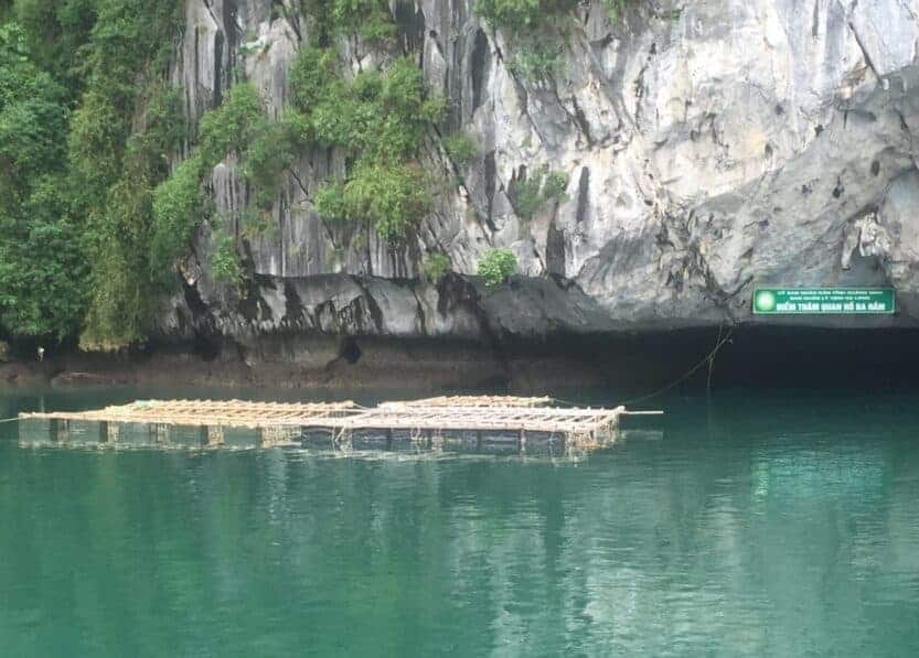Floating Mussel Farm in Ha Long Bay, Vietnam Floating Mussel Farm made of bamboo floating on a pontoon in Ha Long Bay, Vietnam