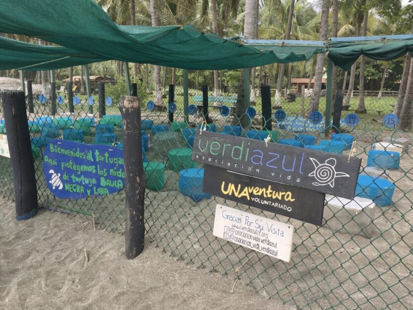 Asociacion Vida Verdiazul Turtle Conservation Centre Asociacion Vida Verdiazul Turtle Conservation Centre