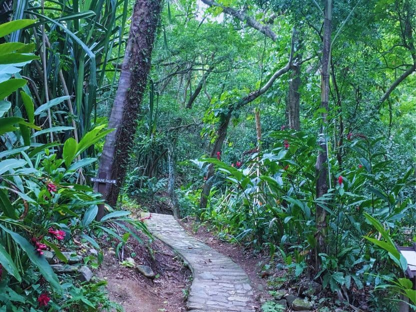 Carambola Botanical Gardens on Roatan in Honduras Nature trail in Carambola Botanical Gardens on Roatan in Honduras