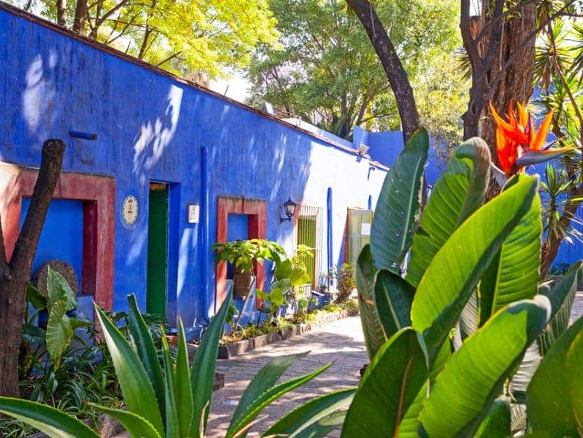 Frida Kahlo Museum in Mexico City Courtyard of the cobalt blue Frida Kahlo Museum 'Casa Azul' or Blue House in Mexico City. Orange, red and yellow bird of paradise flower in the foreground with green leaves.