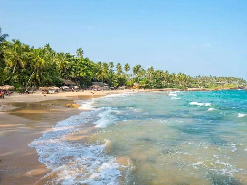 Goyambokka Beach in Tangalle, Sri Lanka. Goyambokka Beach in Tangalle, Sri Lanka. Green palm trees line the yellow sand beach on the left and blue sea on the right beneath blue sky.