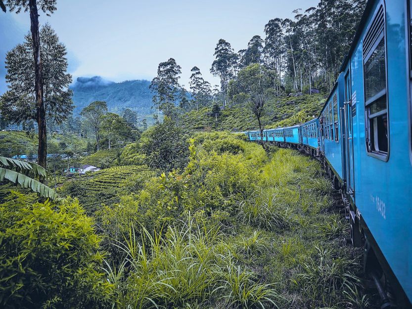 Blue Kandy to Ella train passing through lush green countryside with mountains and trees in the background