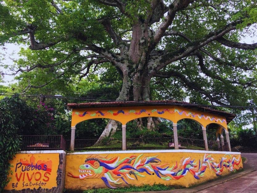 Salcoatitan Ceiba tree, surrounded by yellow colourful mosac wall.