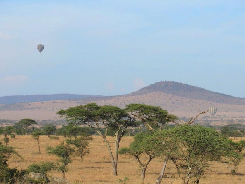 Tanzanian Vista With Hot Air Balloons Tanzanian vista with two hot air balloons
