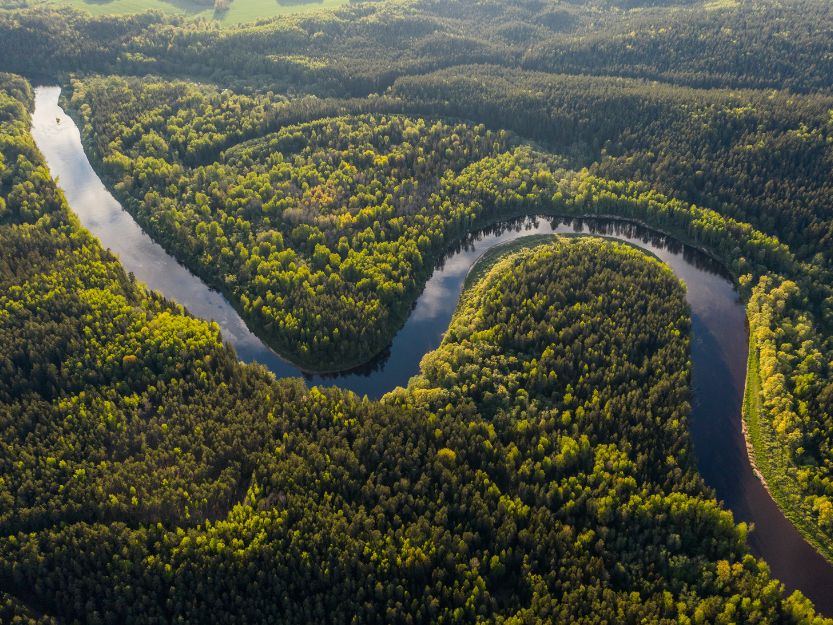The Amazon River and Rainforest Aerial view of the Amazon River and Rainforest
