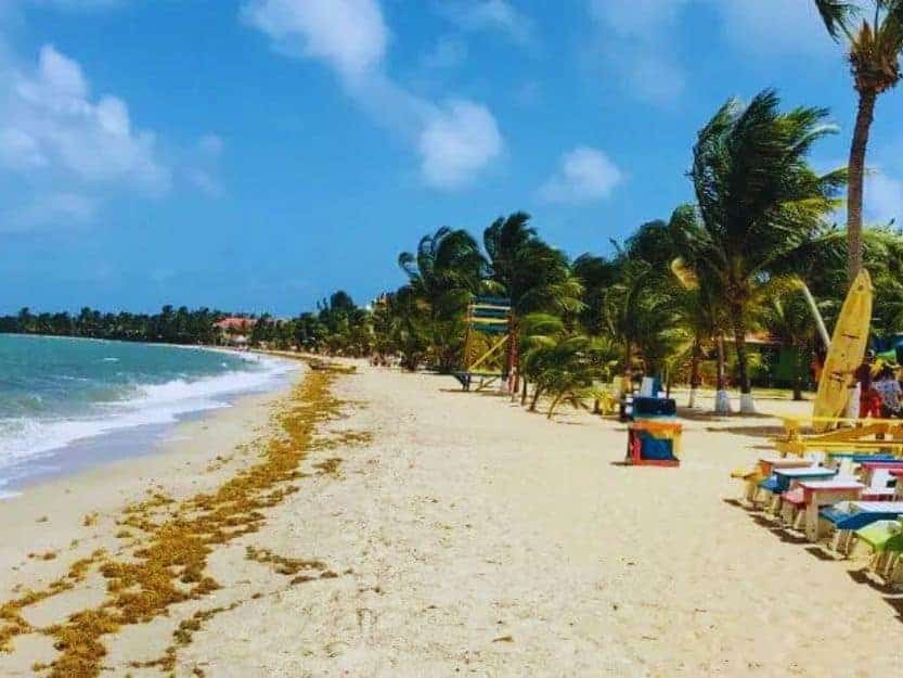 Things to Do in Placencia in Belize Things to Do in Placencia in Belize. Colourful chairs on a yellow sand beach on the right. Palm trees and blue sky in the background.