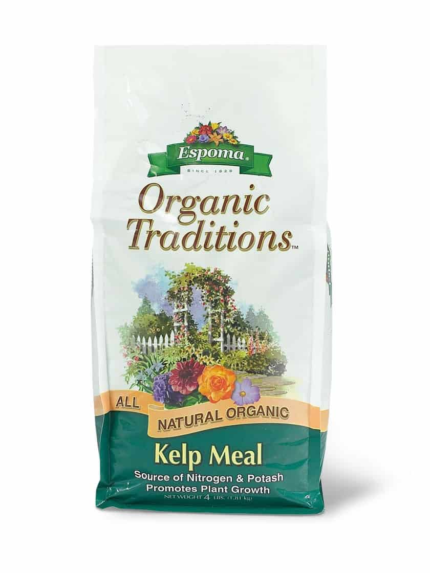 Finding the Best Fertilizer for Garlic Properly Rooted