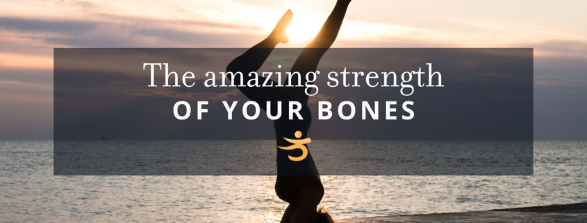 Bone strength